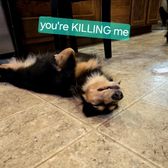 PLZ BUY OUR STUFFS - Picture 3 of 3